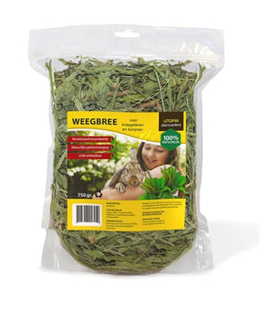 Utopía Weegbree para roedores y conejos