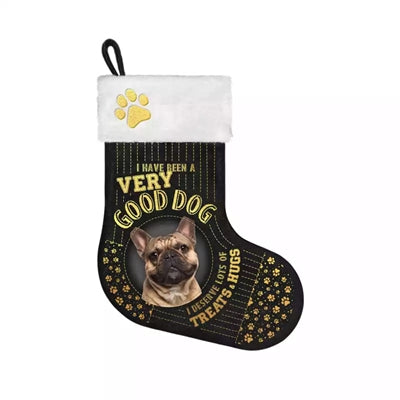 Croci Cat cesta iglú navidad Papá Noel
