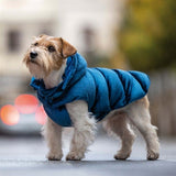 Croci Abrigo para perros con forro de pana azul