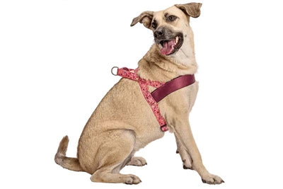 Morso arnés para perros noruego reciclado rosa think pink
