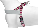Morso noruego hondentuig gerecycled horizonte rood roze