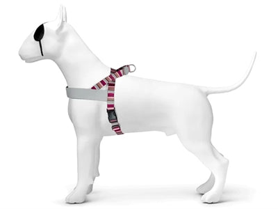Morso arnés para perros noruego horizonte reciclado rojo rosa