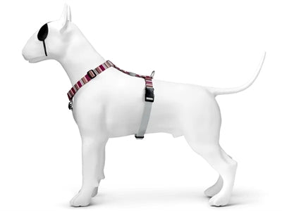 Arnés para perros Morso arnés h horizonte reciclado rojo rosa