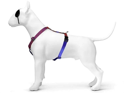 Arnés para perros Morso h-arnés reciclado urbano lagarto rojo