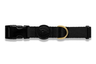 Collar de perro Morso oro reciclado caviar oro