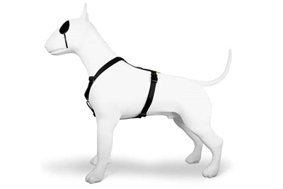 Arnés para perros Morso arnés h oro reciclado caviar oro