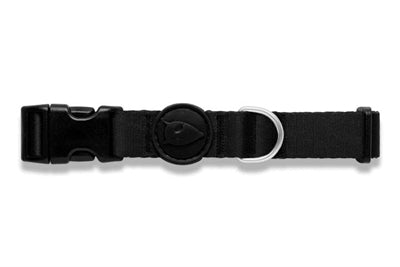 Collar para perros Morso pureza reciclada negro