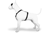 Arnés para perros Morso arnés h pureza reciclada negro