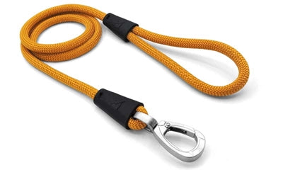 Morso Dog correa regular cuerda de oro reciclado de oro