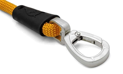 Morso Dog correa regular cuerda de oro reciclado de oro