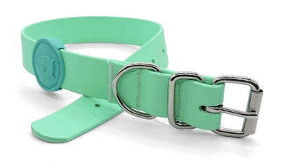 Collar para perros Morso impermeable reciclado verde caribe