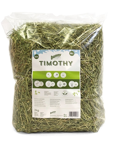 Conejito Naturaleza Timothy Hooi