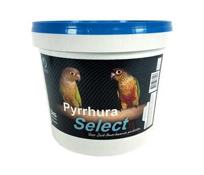 Hareco Pyrrhura seleccione con gránulos