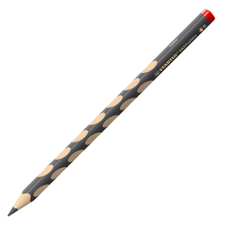Lápiz de color para diestros Stabilo easycolors - gris