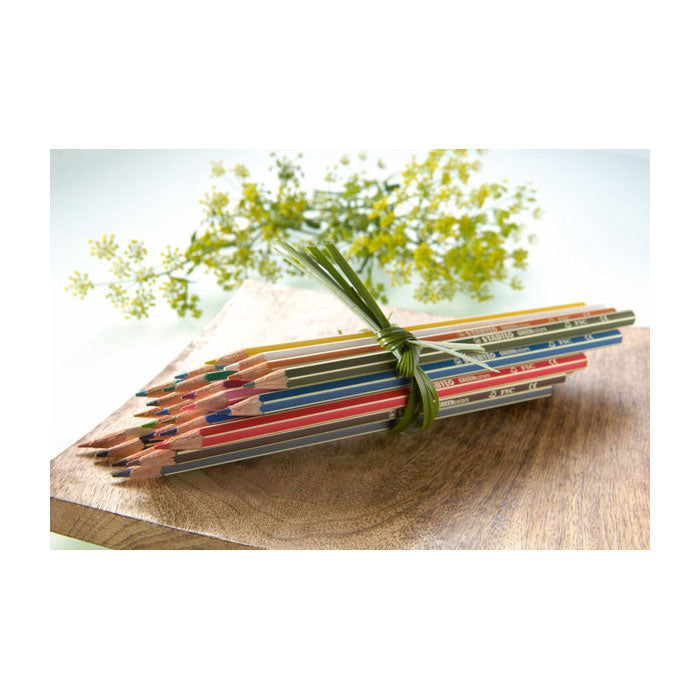 Abi stlo greencolors lapices de colores arty estuche de 24 piezas