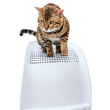 Arenero para gatos imac frida con cajón azul