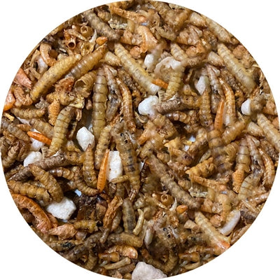 Mezcla de insectos utopía