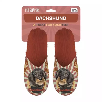 Zapatilla perro salchicha perro salchicha naranja