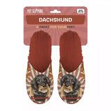 Zapatilla perro salchicha perro salchicha naranja
