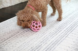 Jw hol-ee rodillo tendencia-ee rosa