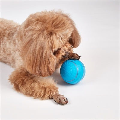 Pelota rodante recargable Fofos para perros