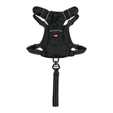 Arnés para perros Zolux easyride negro