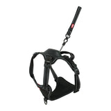 Arnés para perros Zolux easyride negro
