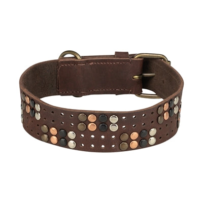 Trixie collar para perros remache cuero engrasado rústico marrón oscuro