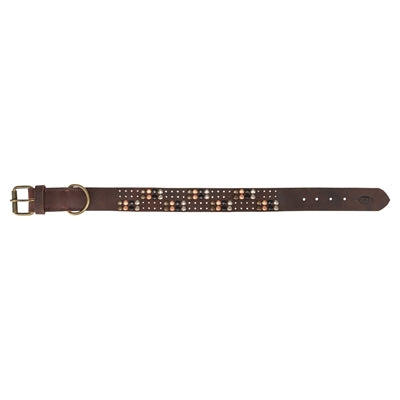 Trixie collar para perros remache cuero engrasado rústico marrón oscuro