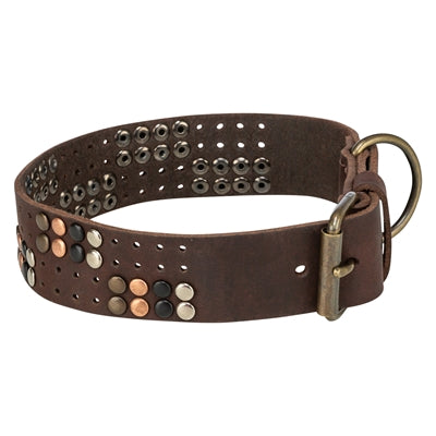 Trixie collar para perros remache cuero engrasado rústico marrón oscuro