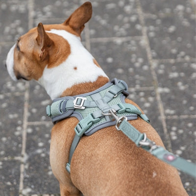 Trixie arnés para perros premium flexmesh pecho ancho verde salvia