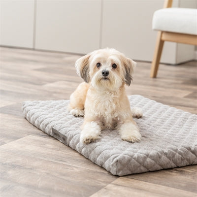 Trixie Cojín para perros Noah Vital gris claro