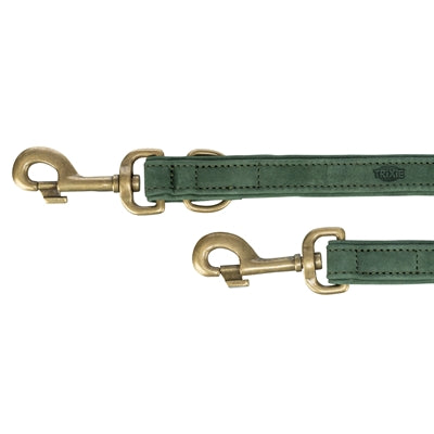 Trixie Correa para perros puro cuero ajustable verde salvia