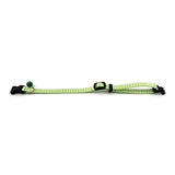 Happy pet tabby parche collar gato diamante verde