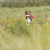 Trixie pelota para lanzar soft strong tpr rosa