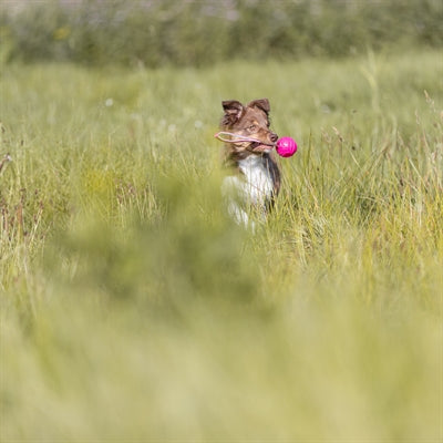Trixie pelota para lanzar soft strong tpr rosa