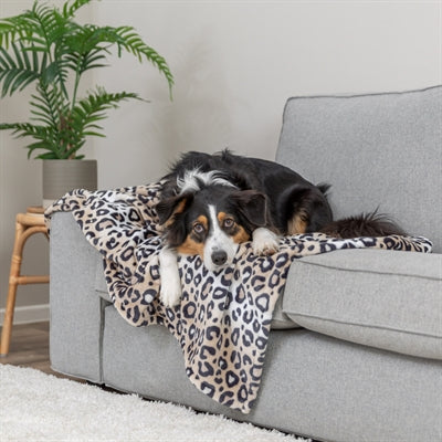 Trixie manta para perros leo peluche suave estampado leopardo crema