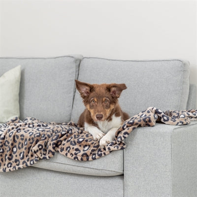 Trixie manta para perros leo peluche suave estampado leopardo marrón