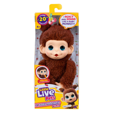 Pequeñas mascotas vivas mi bebé mini mono marrón cherri | 3 piezas