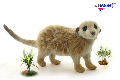 Suricata de pie 32 cm