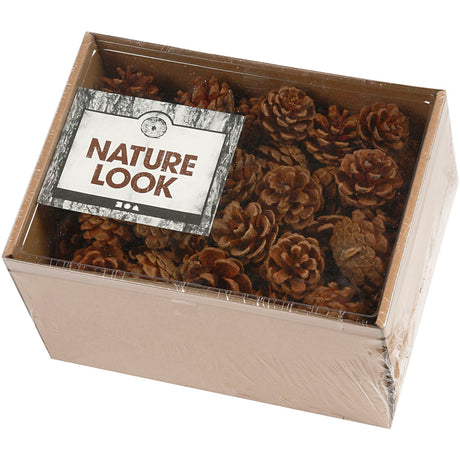 Empresa creativa https: www.cchobby.nl piñas-d-40-mm-ca-60-piece-500-gr-1-doos