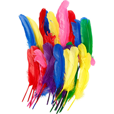 Empresa creativa https: www.cchobby.nl plumas-l-20-cm-varios-colores-36-piezas-1-caja