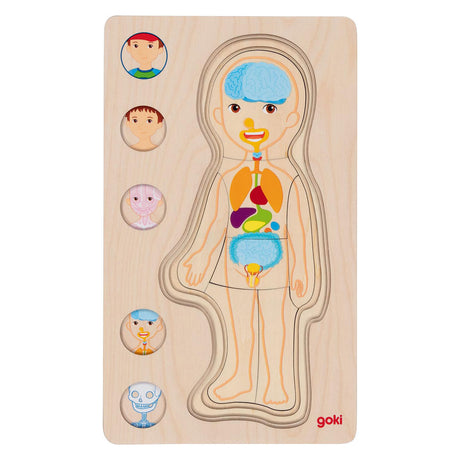 Goki Madera Capa Puzzle Human Body Boy, 29 °.