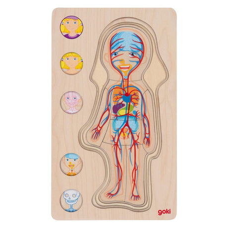 Goki Madera Capa Puzzle Human Body Girl, 29 °.