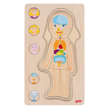Goki Madera Capa Puzzle Human Body Girl, 29 °.