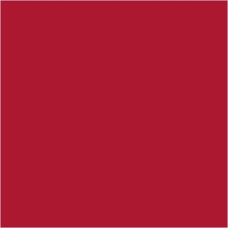 Creativ empresa cartulina de colores Navidad rojo 270gr, 100 hojas