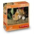 Rompecabezas mágico 3D Van der Doelen - gatito - 35 piezas