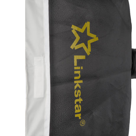 Conjunto de flash de estudio Linkstar lfk-250d digital