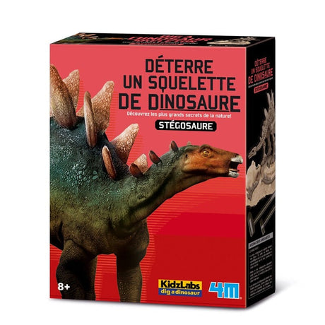 4m excava tu propio dinosaurio en stegosaurus kidzlabs