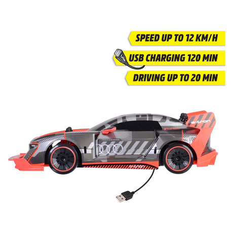 Dickie juguetes 201106011 1:16 RC modelo de coche para principiantes electro drift